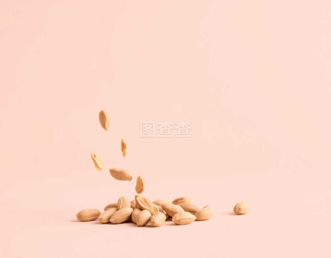 花生 小小坚果中的大世界